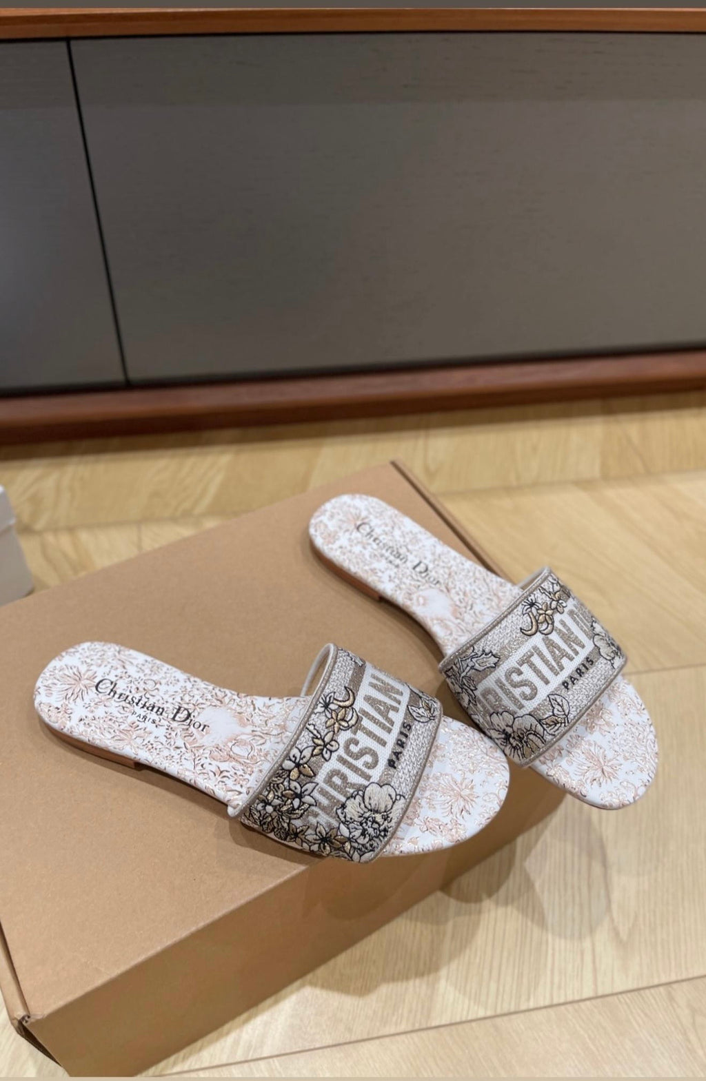 Dior Dway Slide